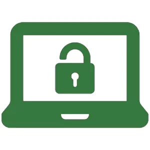 online security-icon