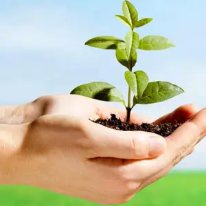 Permit-Engineering-Environmental-Services2